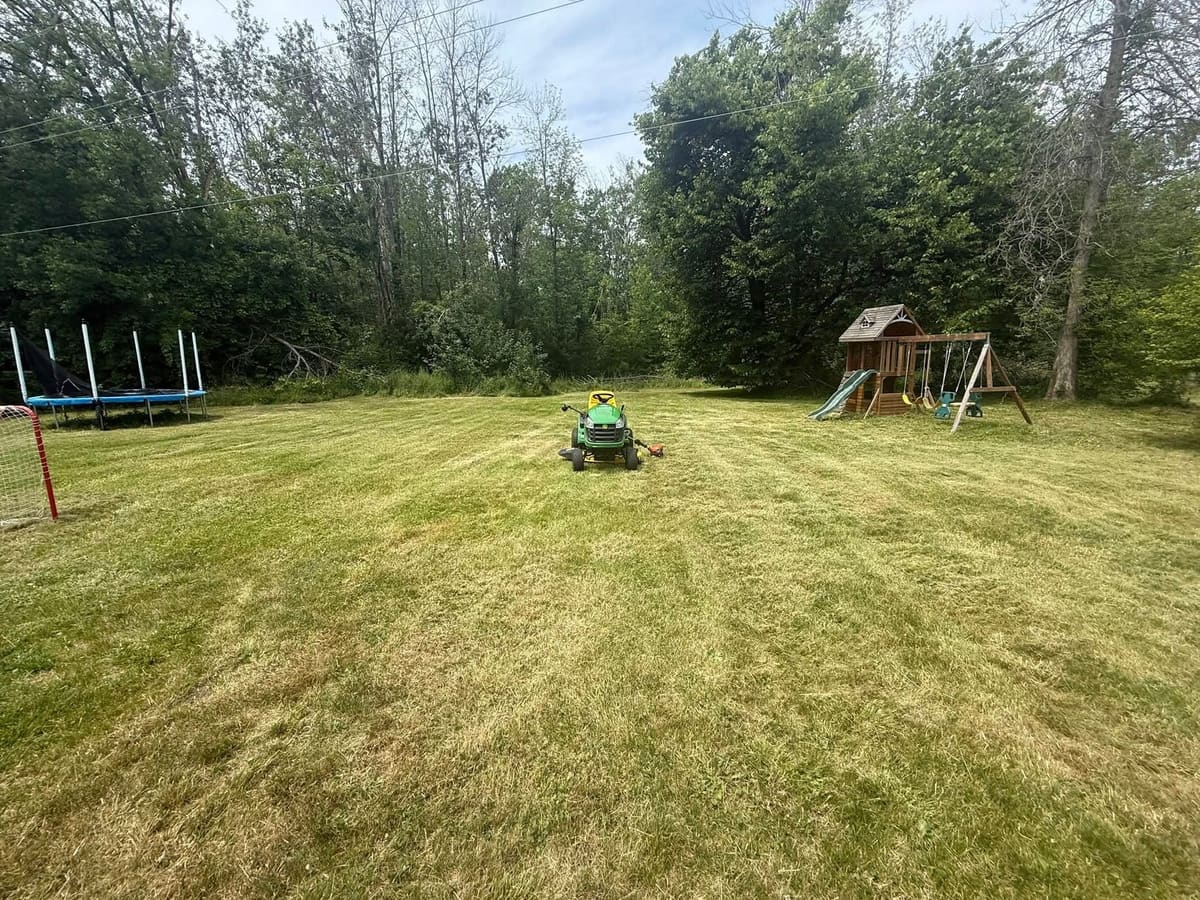 Large rural backyard freshly mowed by Aart's Property Care with riding mower
